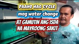 Thumbnail: Paano mag cycle, mag water change at paano gamutin ang mga isda