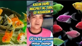 Thumbnail: KAILAN DAPAT MAGPALIT NG TUBIG SA AQUARIUM