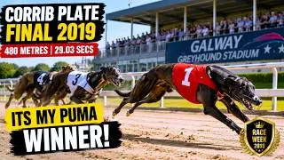 Thumbnail: Legendary Greyhound Race! 🏁 Corrib Plate Final Galway 2019
