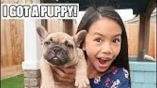 Thumbnail: I GOT A PUPPY!!! (Jessalyn Grace Archive/Reupload)