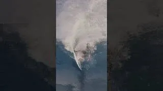 Thumbnail: Oscar Berry laying rail at Rocky’s, Hawaii. #surfing #hawaii
