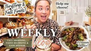 Thumbnail: We Can't Decide, Please Help! Thrift Store Shopping And An Easy Dinner Idea | Weekly Vlog