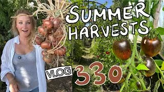 Thumbnail: The Summer Harvests are Here! Ep 330 || Plot37