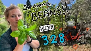Thumbnail: Its a Bean Year! Summer on the Allotment Ep 328 || Plot 37