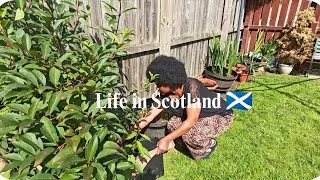 Thumbnail: Cozy Days Cooking at home, Grocery Haul, Deep cleaning , gardening, Family day out