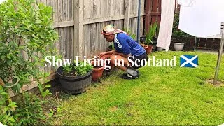 Thumbnail: Cozy Days in Scotland, Gardening, Shopping, home cooking 