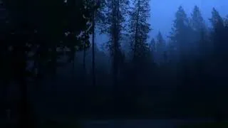 Thumbnail: rain asmr forest sounds