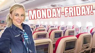 Thumbnail: A Week In My Life As A Flight Attendant!