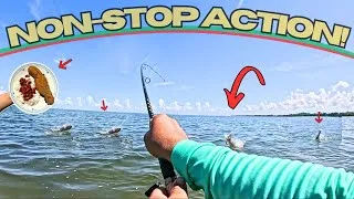 Thumbnail: This Spot Was LOADED with FISH! *Catch and Cook*