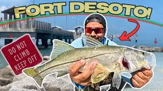 Thumbnail: FISH can NOT RESIST this BAIT! *St Pete Fishing*