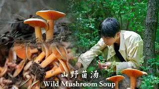 Thumbnail: Foraging Wild Mushrooms and Cooking Chicken Soup by the Creek