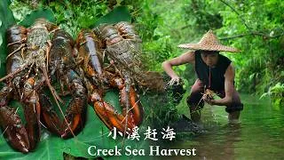 Thumbnail: Catching Boston Lobsters in a Creek and Cooking a Mountain Seafood Feast