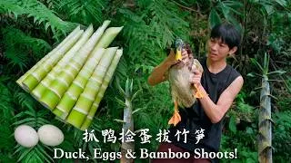 Thumbnail: Caught a Duck! Bamboo Shoots, Eggs & a Wild Feast in the Rain
