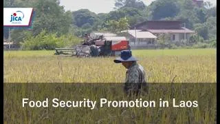 Thumbnail: Improvement of Irrigated Agriculture in Tha Ngon