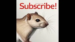Thumbnail: Pygmy Shrew Profile of a Tiny Insectivore