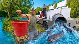 Thumbnail: Stocking 2,500 Mega Catfish into my Backyard POND!!! (BIG MISTAKE)