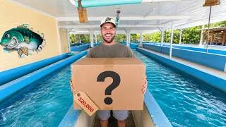 Thumbnail: Surprising Shiner Sam's BAIT SHOP With $20,000 UPGRADES!!! (thank you guys)