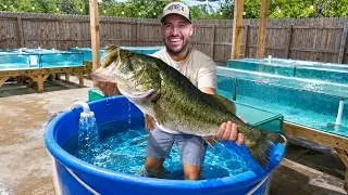 Thumbnail: Rescuing RECORD Bass in Homemade Fish HOSPITAL!! (he's a monster)