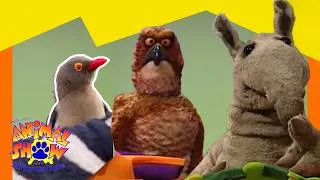 Thumbnail: 🦏 Rhinos vs. Gorillas! Can We Save Them? 🦍 | Full Episode | Animals Show for Kids