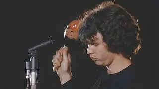 Thumbnail: The Doors - Jim Morrison