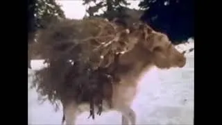 Thumbnail: Christmas in Marlboro Country Ad Revised