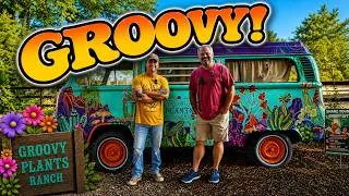 Thumbnail: This Might Be the Grooviest Garden Center in America! | Groovy Plants Ranch