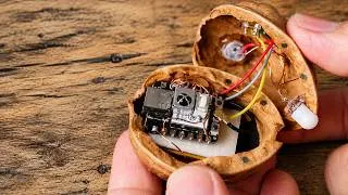 Thumbnail: I managed to pack everything inside the walnut.