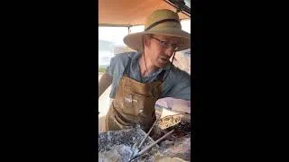 Thumbnail: Jivan Lee - Live/ Big asymmetric outdoor storm painting