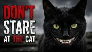 Thumbnail: DON'T STARE AT THE CATS | Horror Short Film