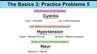 Thumbnail: Medical Terminology – The Basics – Lesson 1 & 2 | Practice Problems Set 3