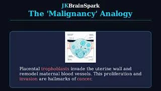 Thumbnail: 🧬 Why placenta is nature's "controlled malignancy" ?Now guiding therapy to stop tumo | JKBrainSpark