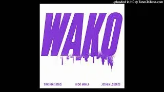 Thumbnail: Sunshine Benzi Ft Nicki Minaj & Joshua Lorenzo - WAKO (Remix)