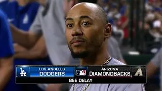 Thumbnail: Craziest Bug Invasions in MLB History