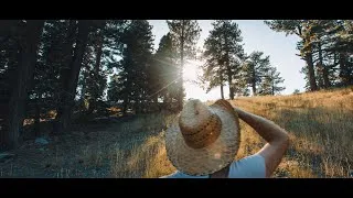 Thumbnail: Panasonic LUMIX S1H - Cinematic Test Footage [Angeles National Forest]