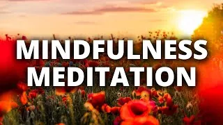 Thumbnail: Mindfulness Meditation | Flower in the Sun