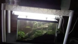 Thumbnail: How To Build a Dart Frog Vivarium - 3 - Completed Vivarium
