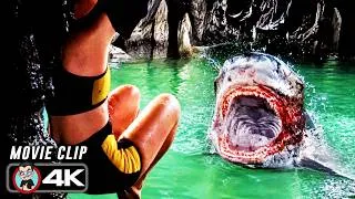 Thumbnail: Bull Shark Attack Scene | THE DEVIL'S MOUTH (2026) Movie CLIP 4K