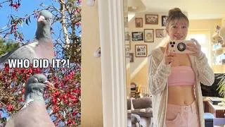 Thumbnail: Which Suspicious Creature Crept Around Inside Our House?!