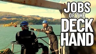 Thumbnail: THE MANY JOBS OF THE DECKHAND | ABLE- BODIED SEAMAN | DECK DEPARTMENT