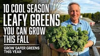 Thumbnail: 10 Leafy Greens to Grow This Fall for a Safer, Fresher Harvest