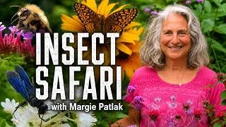 Thumbnail: Inside the Secret World of Garden Insects | Insect Safari with Margie Patlak