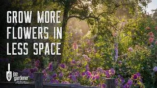 Thumbnail: The Secret to More Blooms and Longer-Lasting Cut Flowers