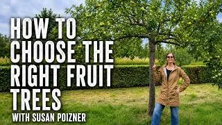 Thumbnail: How to Choose the Right Fruit Trees for Your Garden