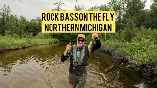 Thumbnail: Fly fishing for rock bass on a northern Michigan river! #fishing #bassfishing #flyfishing 