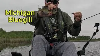 Thumbnail: Michigan Bluegills Spring 2026