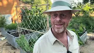 Thumbnail: Joe's Country Garden July 2026 - an Evening Pootle