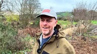 Thumbnail: Planting the Perennials