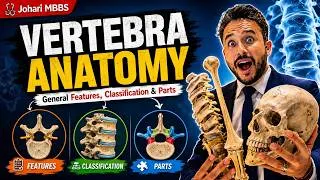 Thumbnail: Vertebra Anatomy for MBBS 1st Year | General Features, Classification & Parts | Johari MBBS