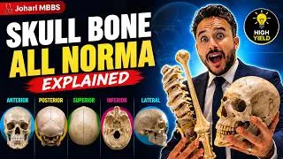 Thumbnail: Skull Bone All Norma's Explained (Anterior, Posterior, Superior, Inferior & Lateral) | Johari MBBS