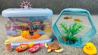 Thumbnail: Satisfied Unboxing Fishing Aquarium Colorful Fish Marine Life Aquatic Toy ASMR | Toy Review